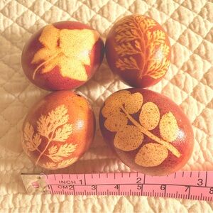 Onion Skin Dyed Eggs